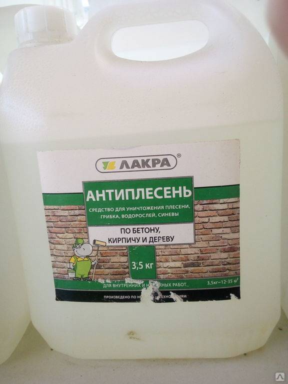 Антисептик от плесени – эффективные методы борьбы с незваными «соседями»
