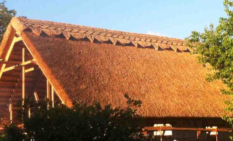 Крыша из камыша: технология строительства своими руками