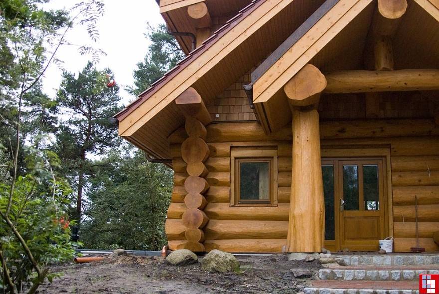 Как выбрать древесину для строительства дома: какие породы лучше выбрать. - заметки строителя
