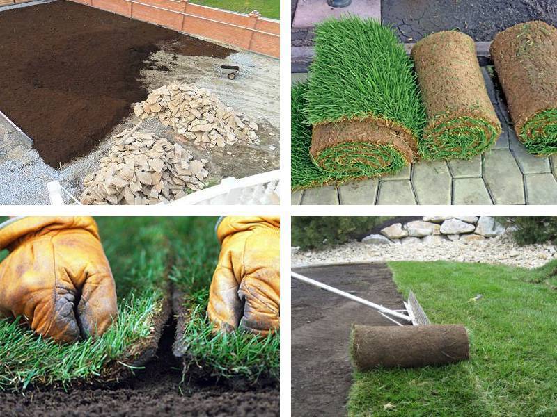 Как посадить газон своими руками: пошаговая инструкция