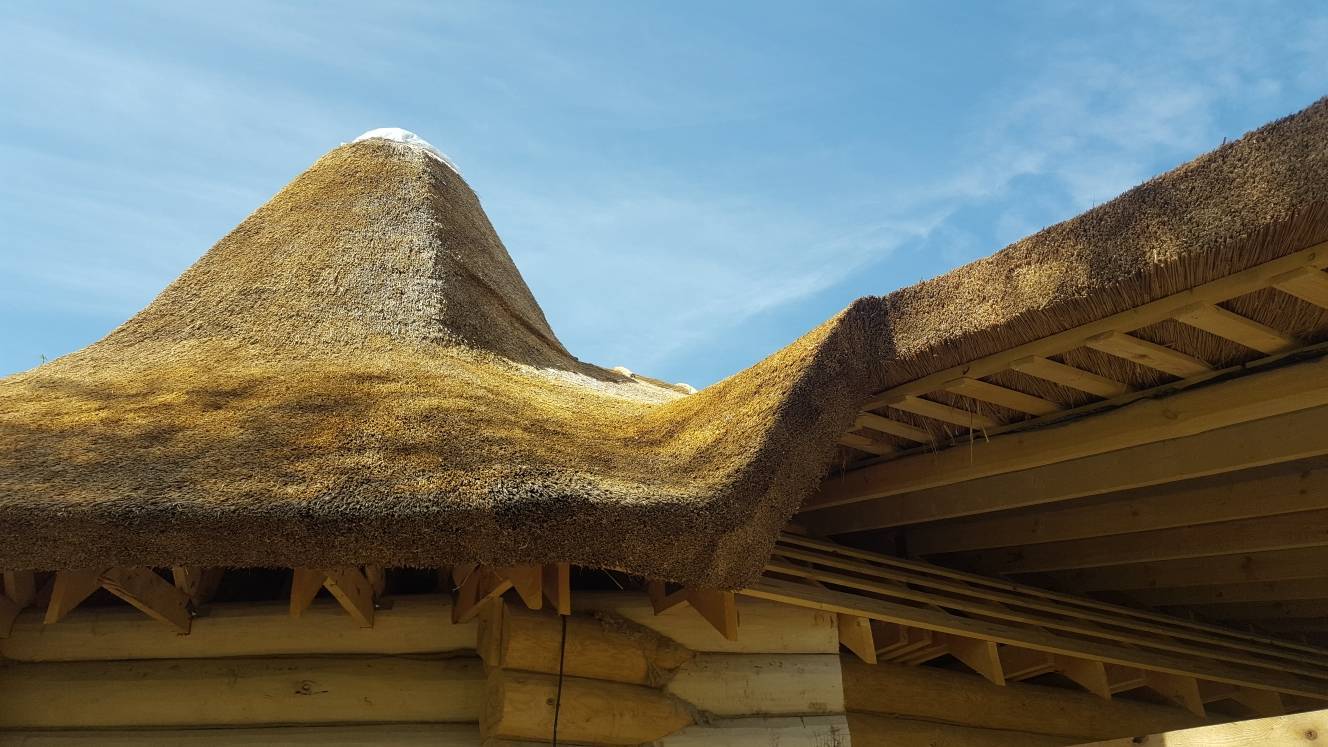 Крыша из камыша: технологии, архитектурные свойства, укладка и правила монтажа