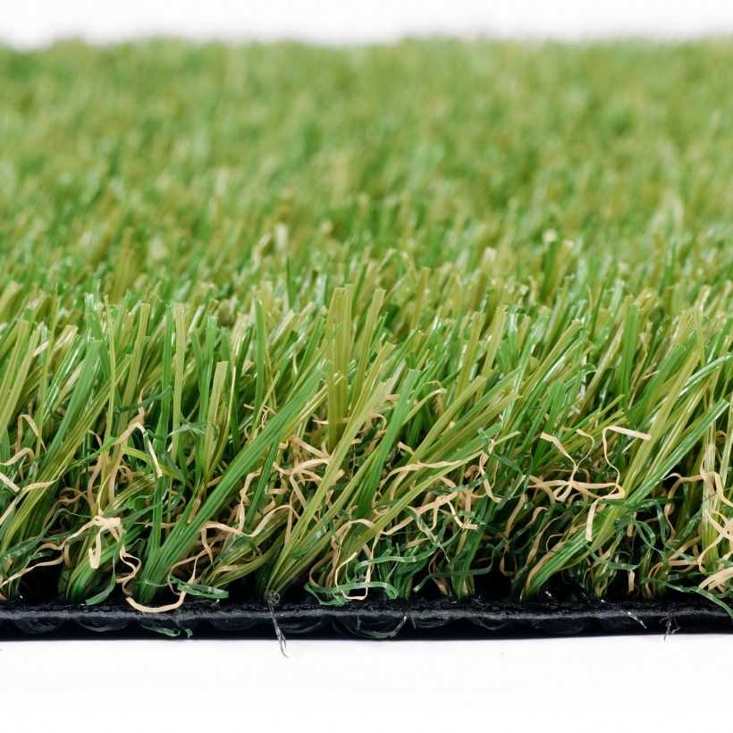 Газонная трава: какую выбрать, как и когда садить, уход за газоном
