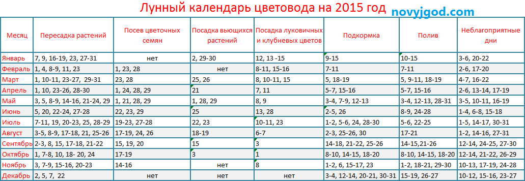 В какой день лучше пересаживать комнатные цветы: лунный календарь на 2022 год