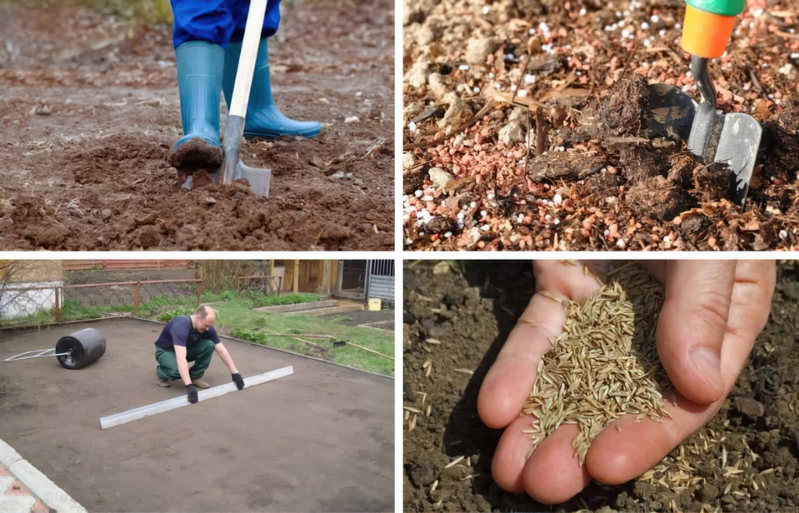 Подготовка почвы под газон своими руками (в том числе под рулонный)