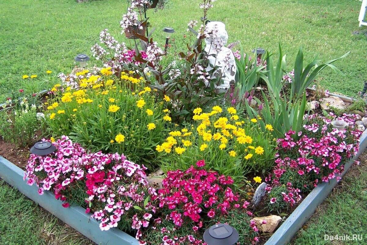 Как посадить красиво цветы на даче – 10 вариантов