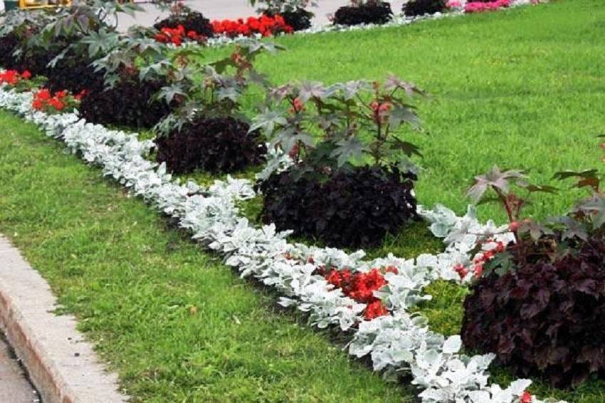 Рабатка: стильные решения при оформлении сада, участка или придомовой территории