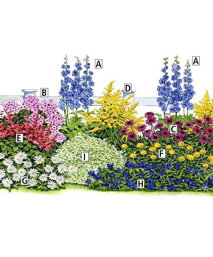 Красивые клумбы: советы по созданию цветников из много- и однолетних растений, схемы, способы подготовки почвы и оформление