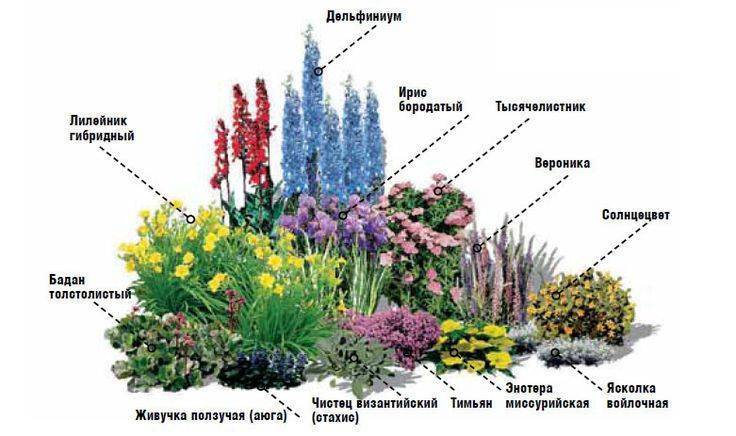 Как красиво посадить цветы на даче: правила, схемы, возможные композиции