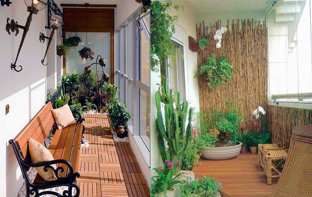 Зимний сад в квартире на балконе своими руками. 10 идей с фото 2021 года