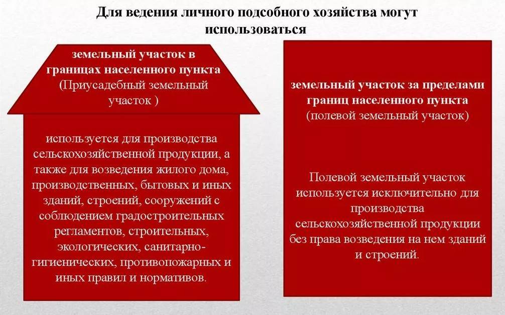 Как оформить лпх и открыть бизнес - пошаговый алгоритм