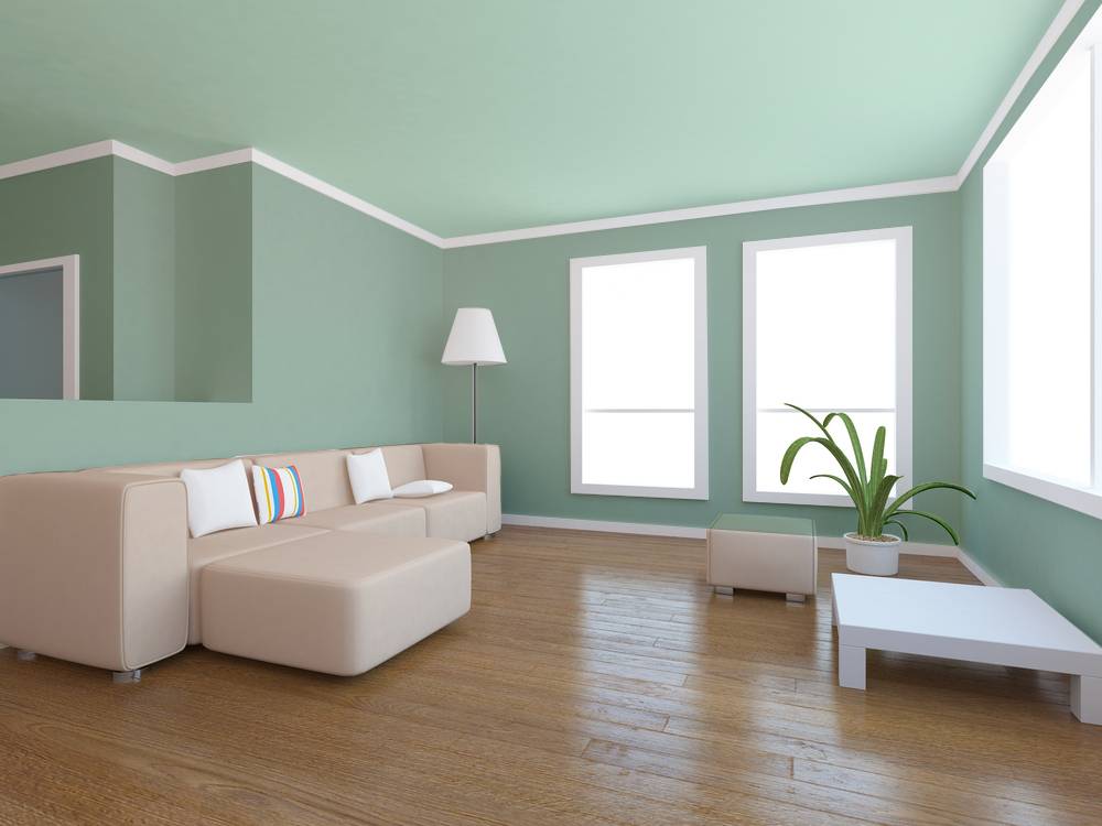 Краска для стен в квартире как выбрать: достоинства и характеристики помогут разобраться, какую выбрать краску
