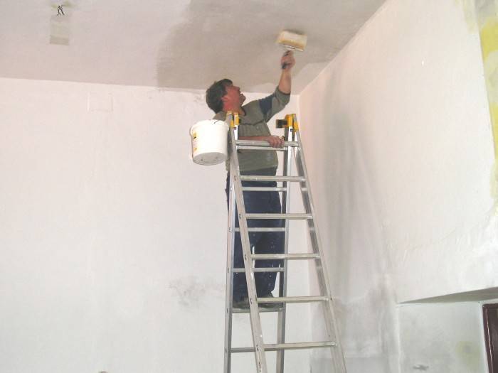 Покраска потолков из гипсокартона, как правильно сделать отделку и шпаклевку, какую краску выбрать, инструкция по отделке