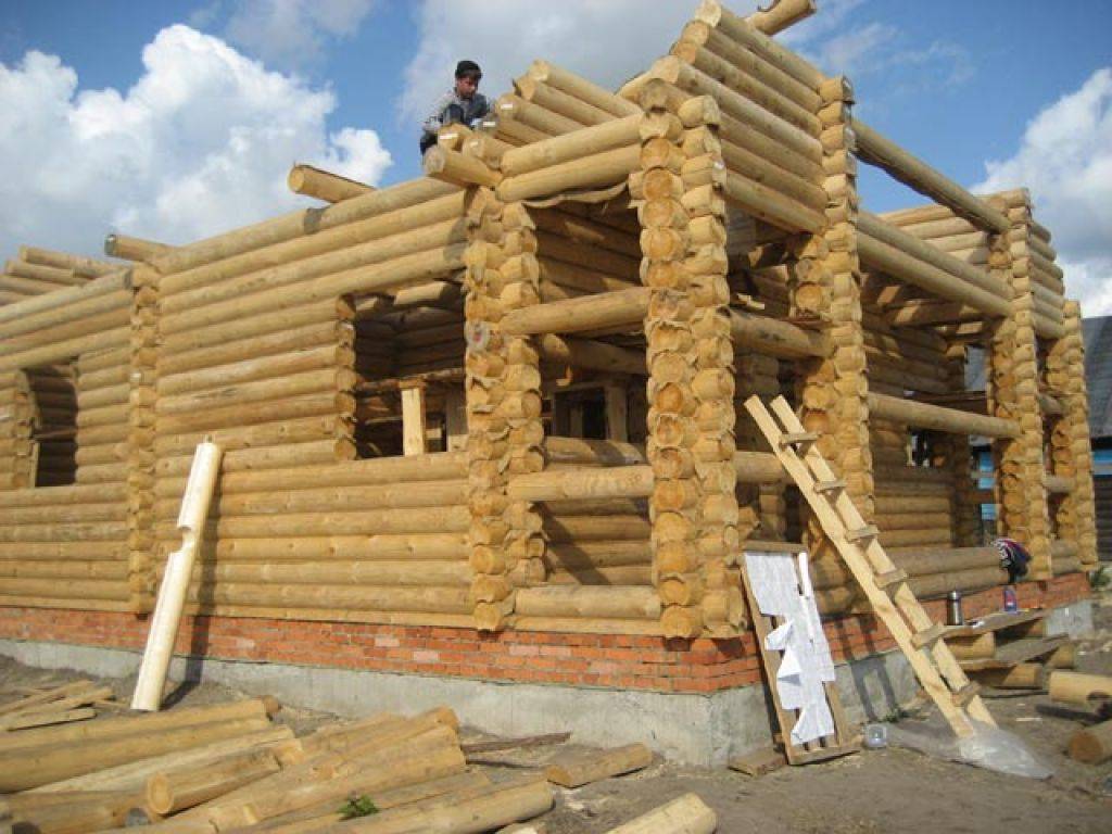 Строительство домов из оцилиндрованного бревна своими руками: этапы
