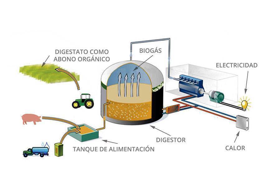 Делаем биотопливо своими руками: биогаз из навоза, этанол для биокамина и пеллеты. биодизельное топливо: как сделать биодизель своими руками в домашних условиях