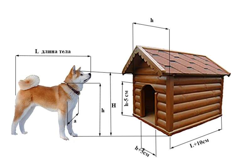 Как сделать своими руками теплую будку для собаки: пошаговая инструкция