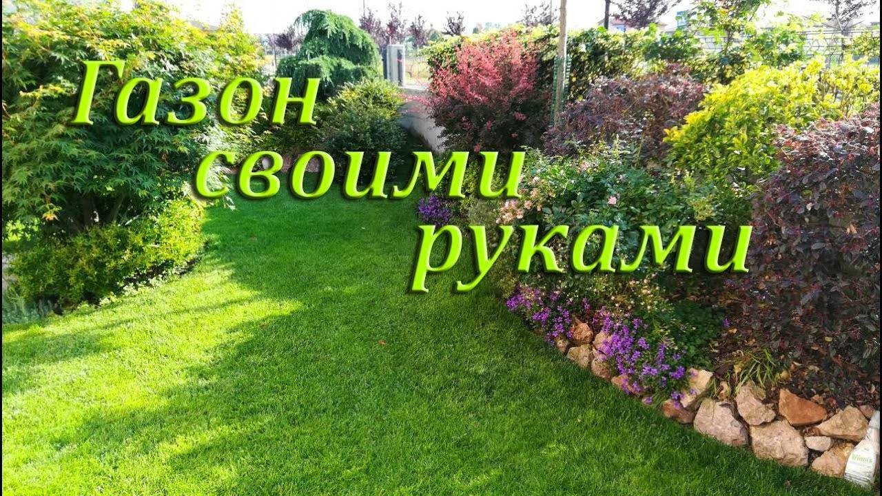 Как правильно посеять газонную траву: руководство по начальному этапу создания газона на даче.