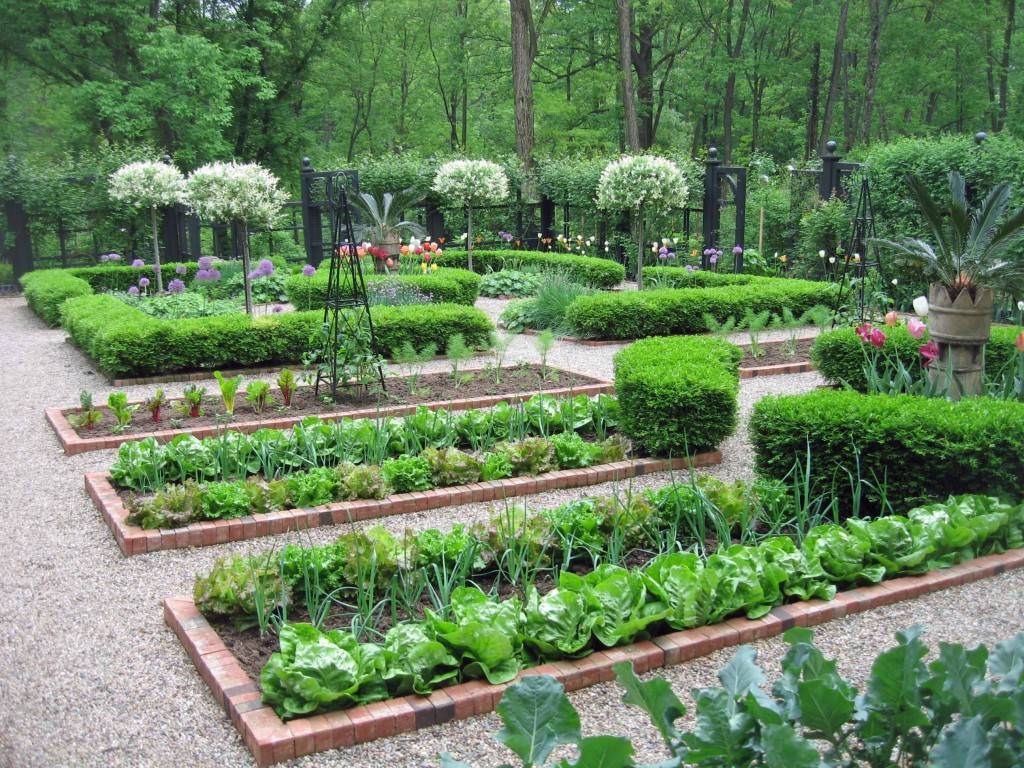 Цветы на даче: как красиво посадить, схемы посадки, ландшафтный дизайн перед домом, кустарники на клумбе
 - 34 фото