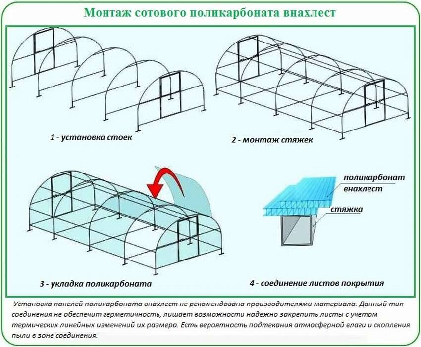 Как выбрать поликарбонат для теплицы, с максимальной эффективностью