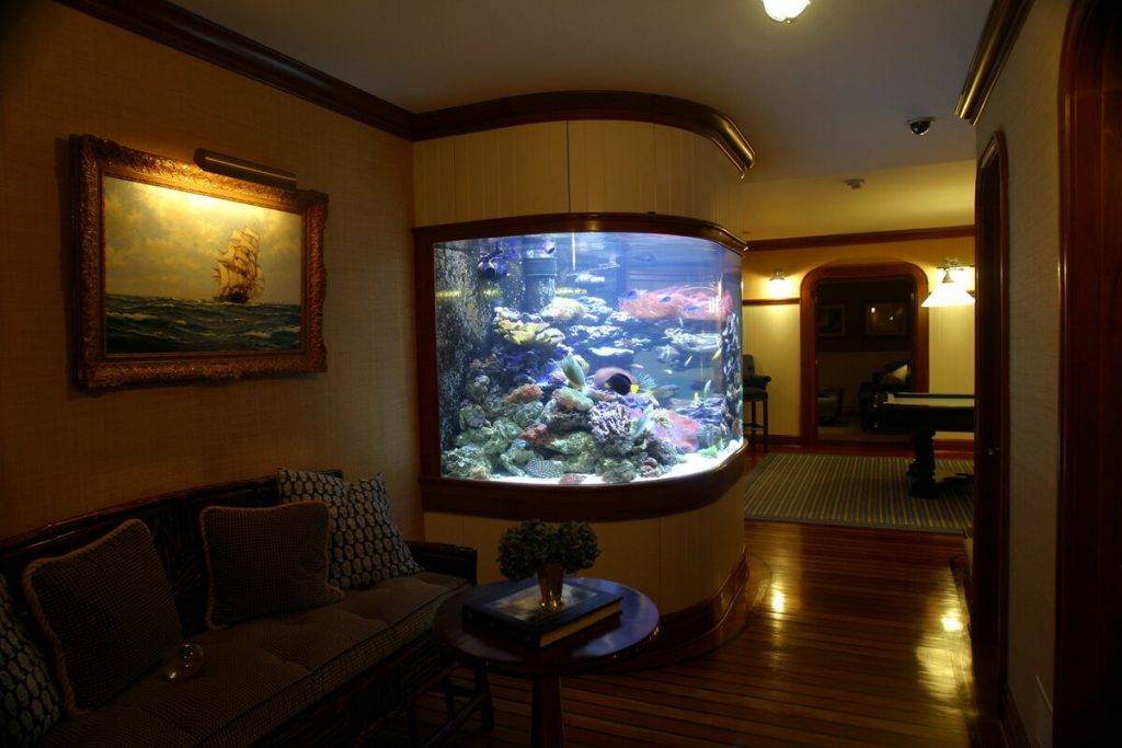 Аквариум в интерьере квартиры. 95 фото больших аквариумов в квартире