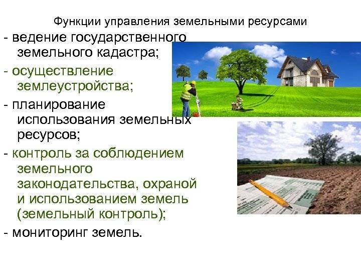 Межевание земельного участка: что это такое, особенности, описание и требования :: syl.ru
