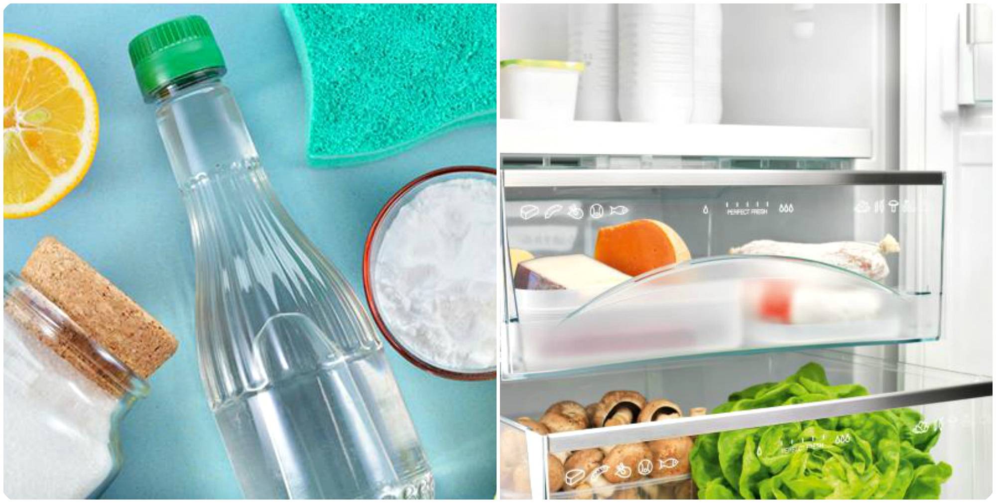 Как избавиться от запаха в холодильнике: 12 эффективных способов