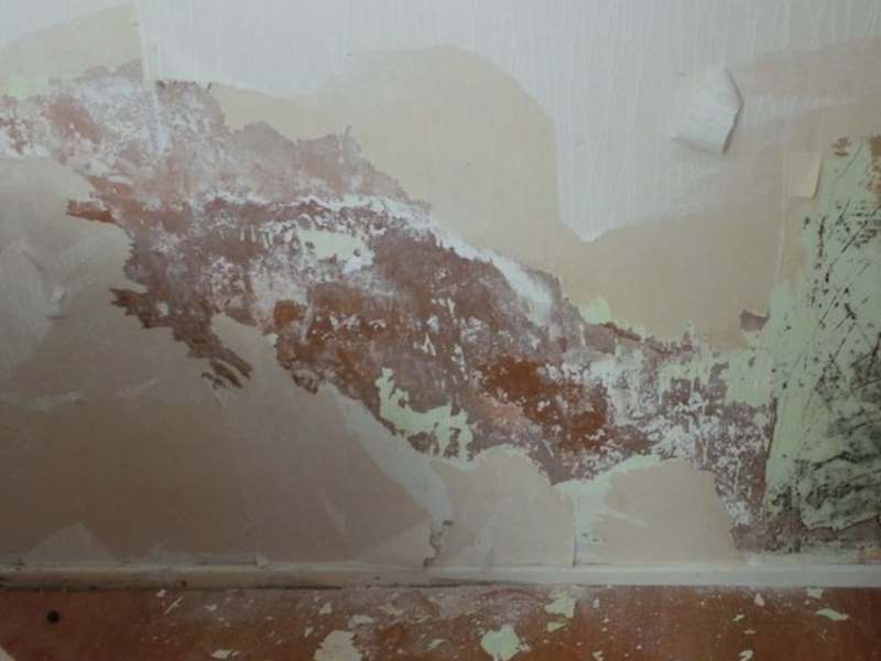 Сыреет стена в квартире что делать