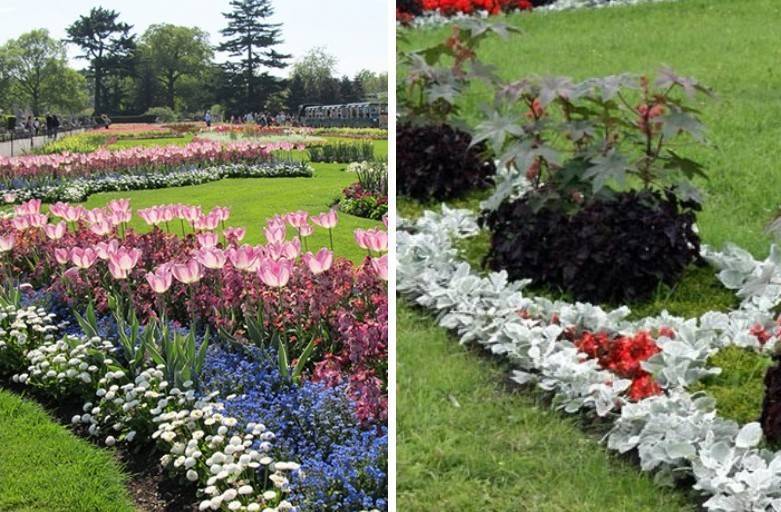 Клумбы рабатки в ландшафтном дизайне сада – оформляем красивый цветник на дачном участке