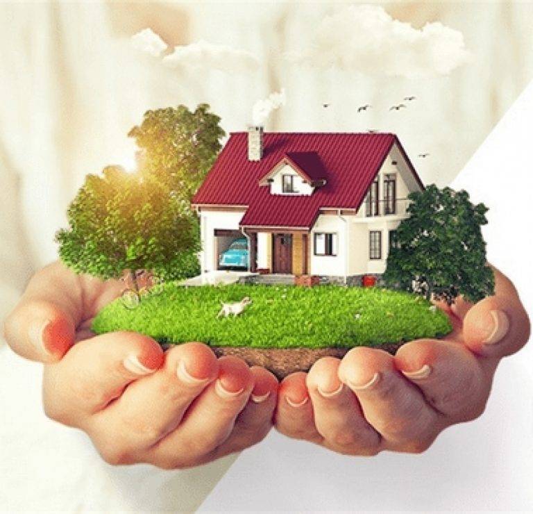 Как правильно выбрать земельный участок ⋆ domastroika.com