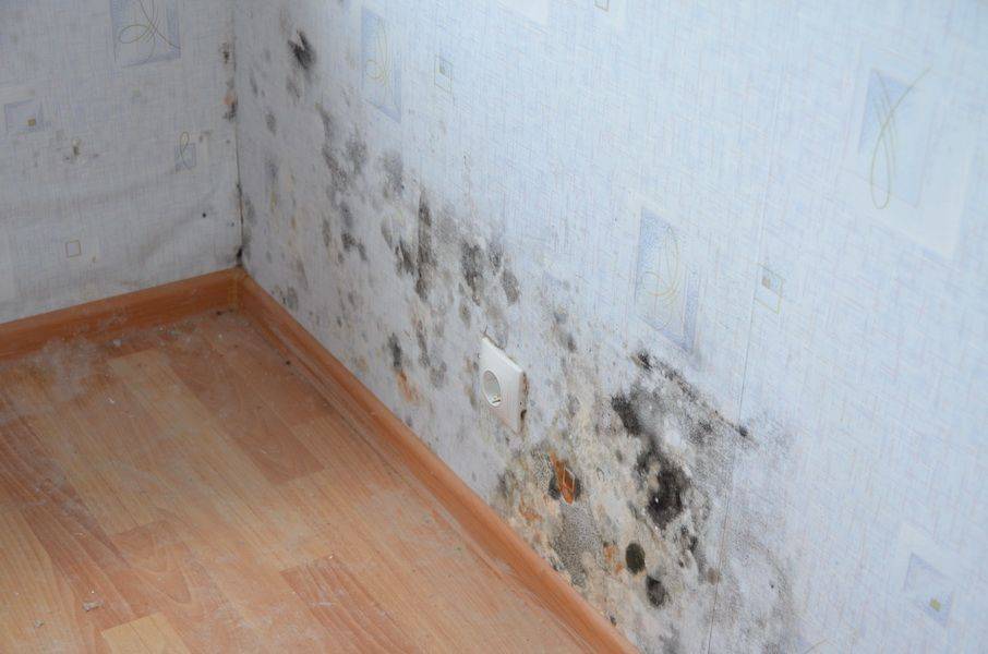 Почему потеют и мокреют стены в доме и как это исправить - построй дом сам