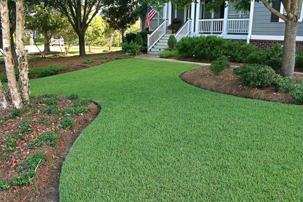 Партерный газон – зеленый оазис совершенства на вашем загородном участке