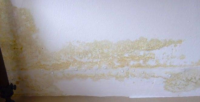 Желтые пятна на потолке после затопления — как и чем лучше вывести