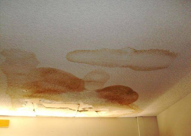Как избавиться от плесени на потолке: убрать грибок в квартире и удалить в комнате