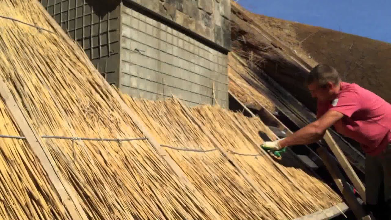 Крыша из камыша: технология монтажа своими руками