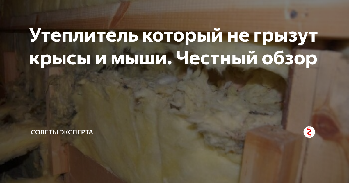 Какой утеплитель не едят мыши