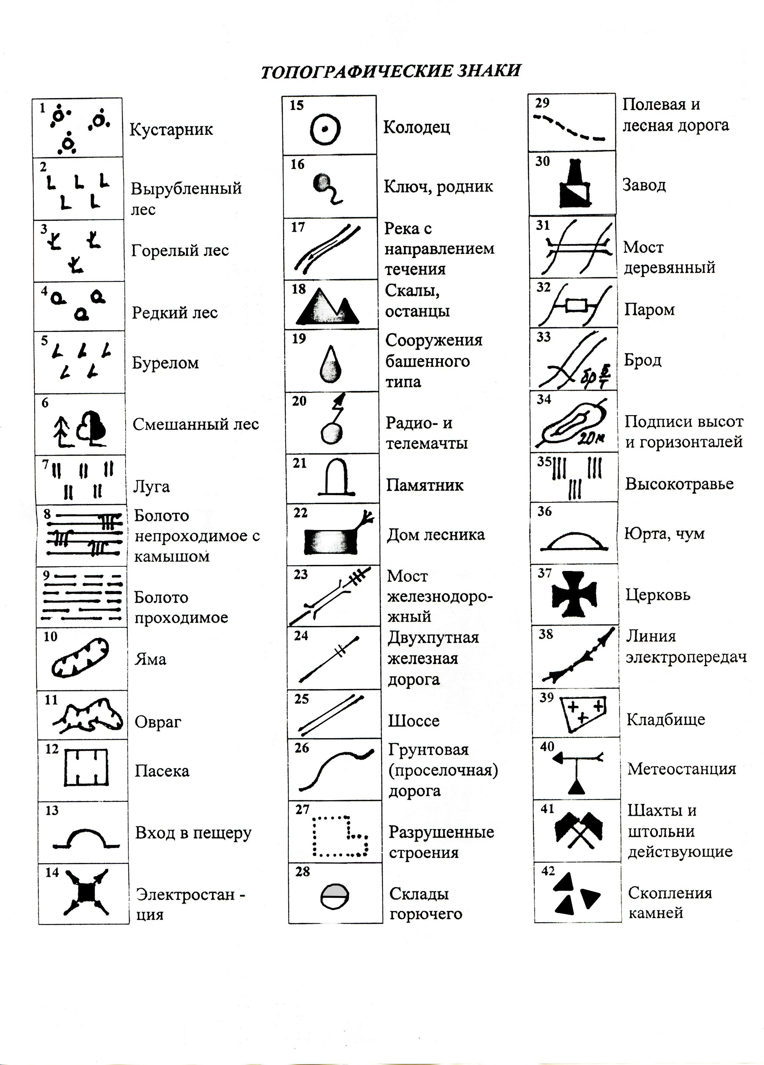 Лесные знаки в картинках и их обозначения