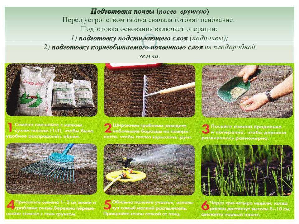 Устройство рулонного газона: как уложить своими руками, пошаговая инструкция, технология укладки газонной травы