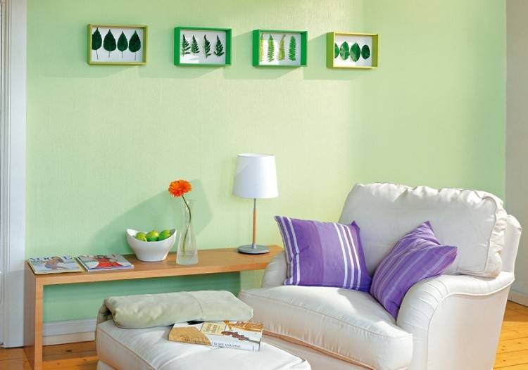 Краска для стен в квартире (60 фото): как выбрать правильно?