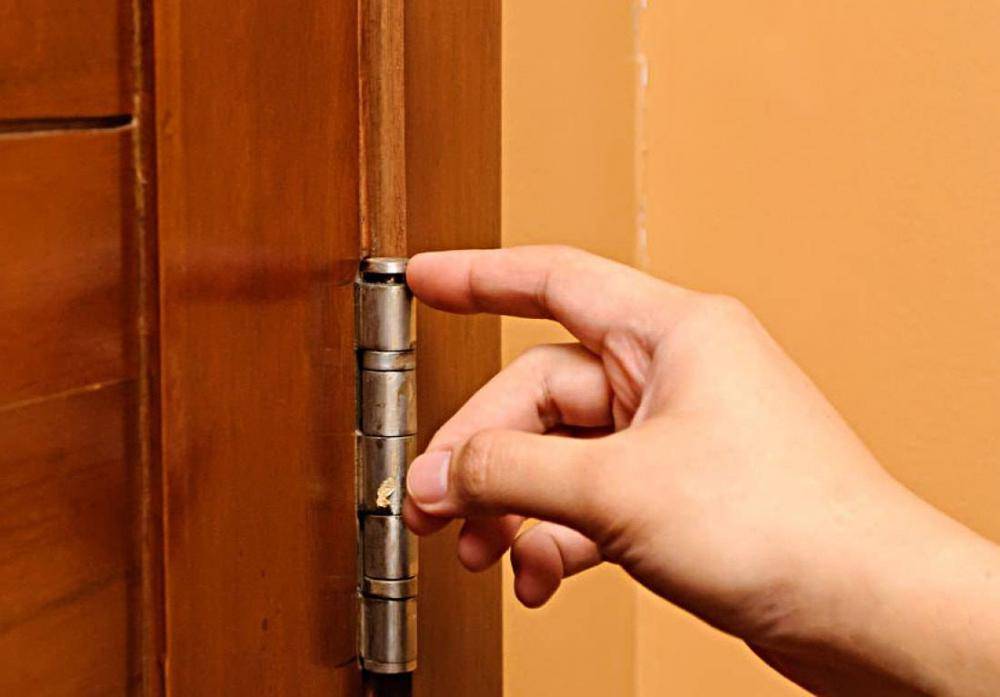 Скрип двери в квартире: как его убрать, устраняем причину возникновения неприятного звука