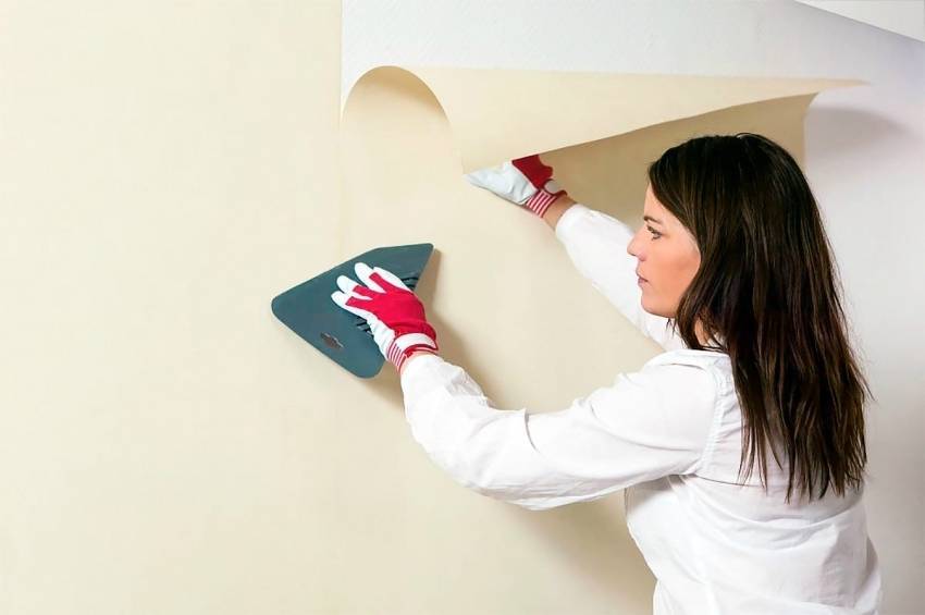 Обои или покраска стен: что лучше. практичнее, дешевле