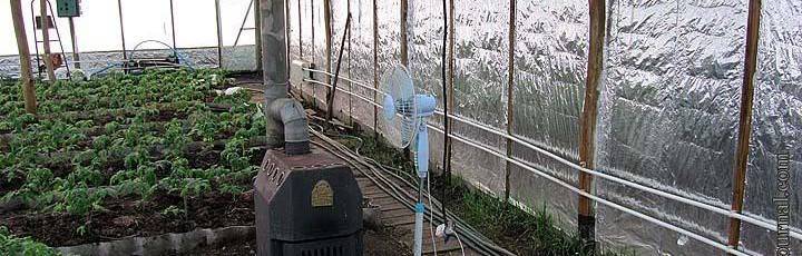Отопление теплицы – выбираем систему обогрева зимней теплицы
