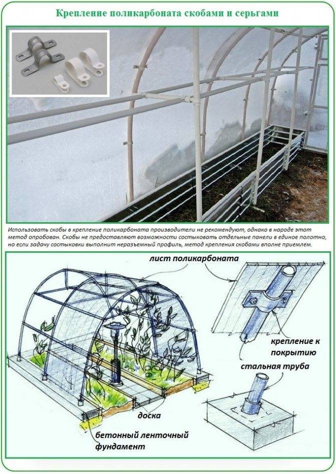 Выбираем поликарбонат для теплицы - какой лучше использовать | o-builder.ru