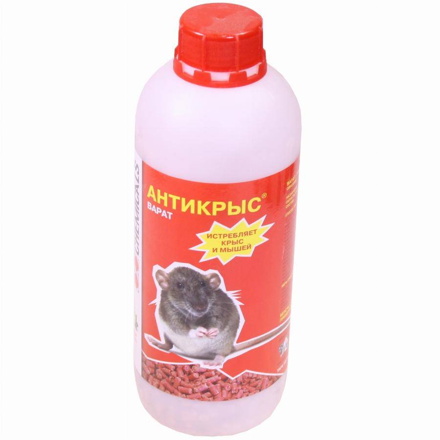 Эффективные средства для крыс и мышей. химические средства от грызунов.