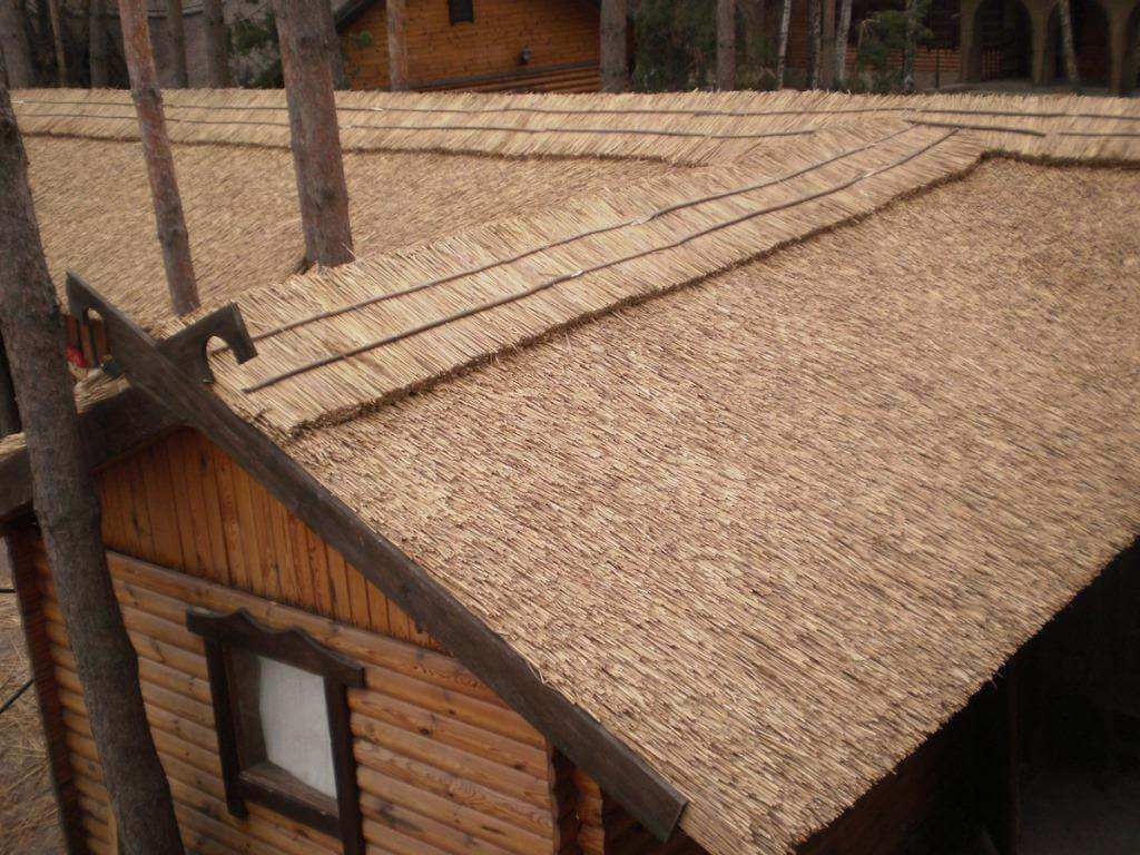 Крыша из камыша своими руками: как заготовить камыш и сделать крышу самостоятельно