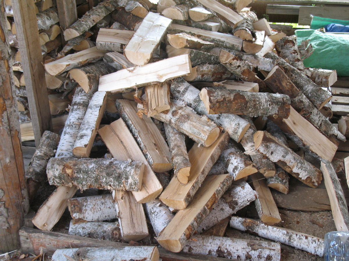 Отопление дровами в частном доме - какие выбрать и как топить печь, камин