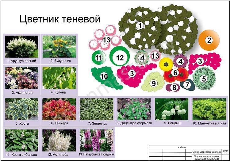 Простые схемы с фото миксбордеров из многолетников - журнал садовода ryazanameli.ru