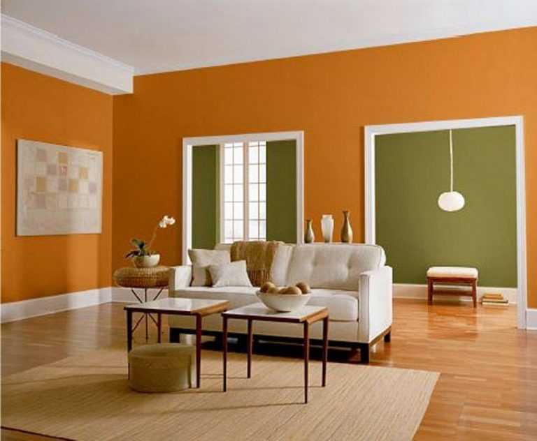 Какой краской лучше красить стены в квартире: выбор краски, дизайн, технология, в какой цвет