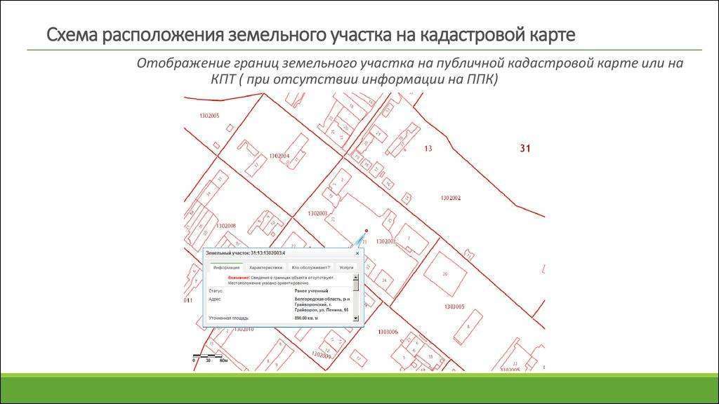 Кадастровая карта границы участка