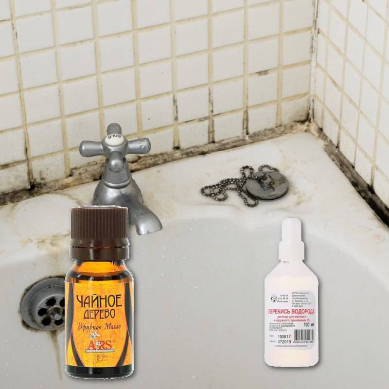 Как удалить плесень в ванной комнате - wikihow