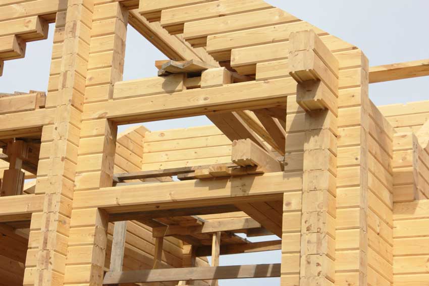 Как выбрать древесину для строительства дома: какие породы лучше выбрать.