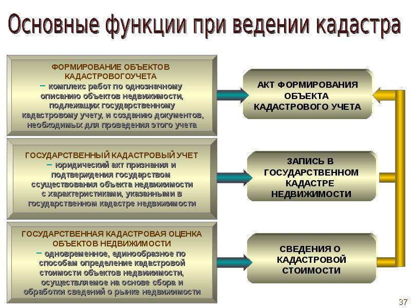 Департамент земельного кадастра и технического обследования: описание, его основные задачи и функции | baskal45.ru